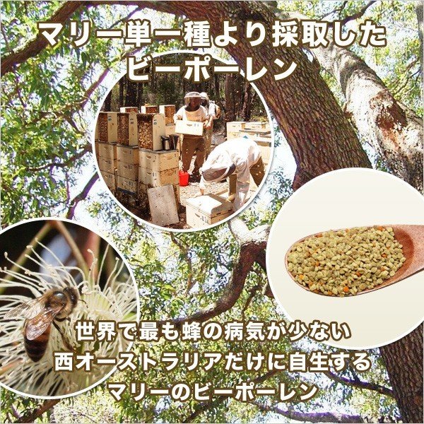 マリーのスーパーフード ビーポーレン 250g ×3個セット マリーのスーパーフード ビーポーレン 250g ×3個セット