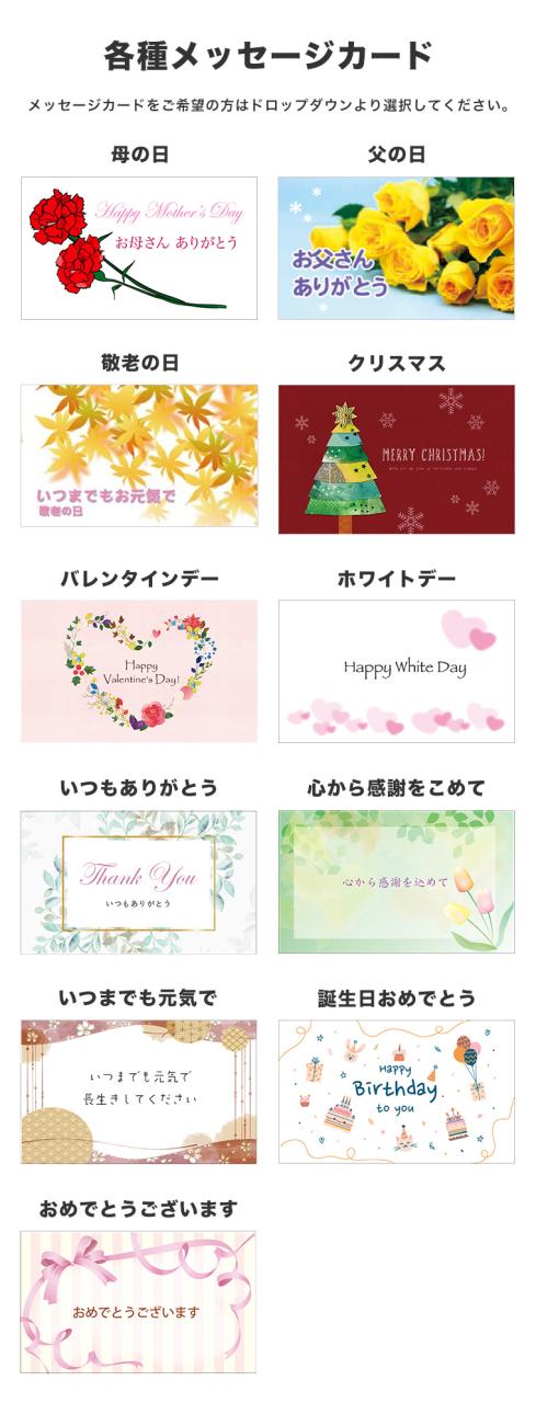 健康の贈り物 ギフト ジャラハニー TA 30+ 130g×3本セット