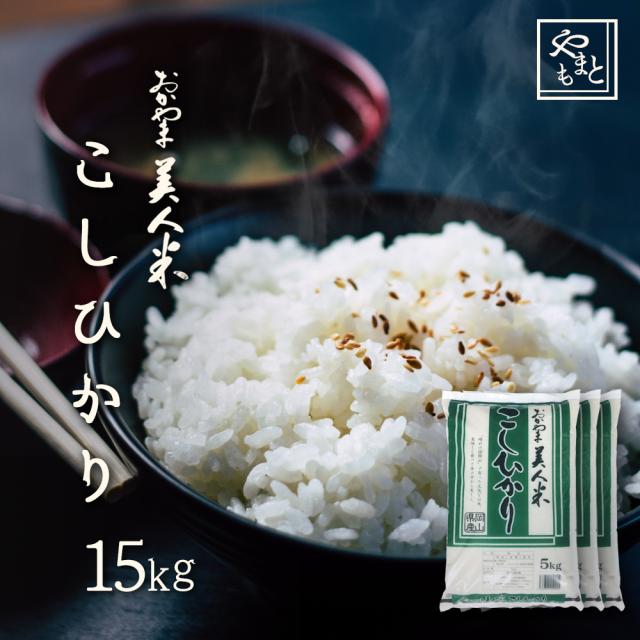 1等米 令和6年度 コシヒカリ 白米 15kg