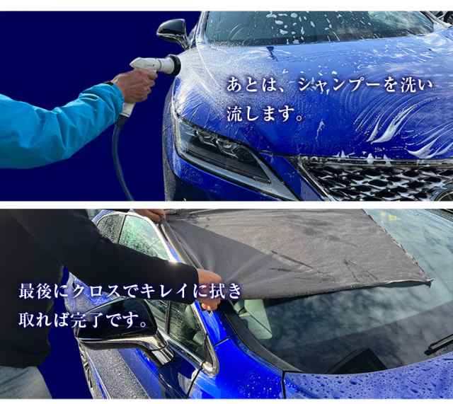 ふるさと納税 洗車用 純水器 10L (イオン交換樹脂) 取ってベルト