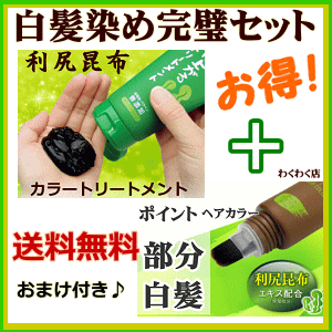 白髪染め 完璧セット 利尻昆布エキス配合 髪と頭皮に優しい白髪染めトリートメント 傷んだ髪をいたわるポイントカラー付きの通販はau Pay マーケット わくわく店