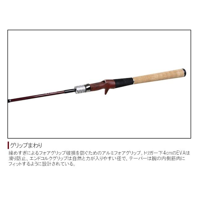 フィッシュマン ビームス ローワー 6.2L