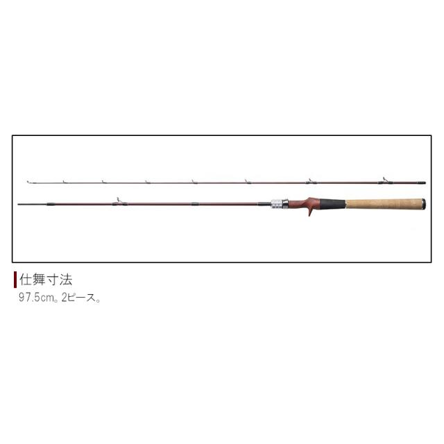 フィッシュマン ビームス ローワー 6.2L