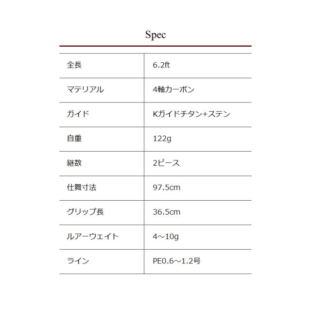フィッシュマン ビームス ローワー 6.2L