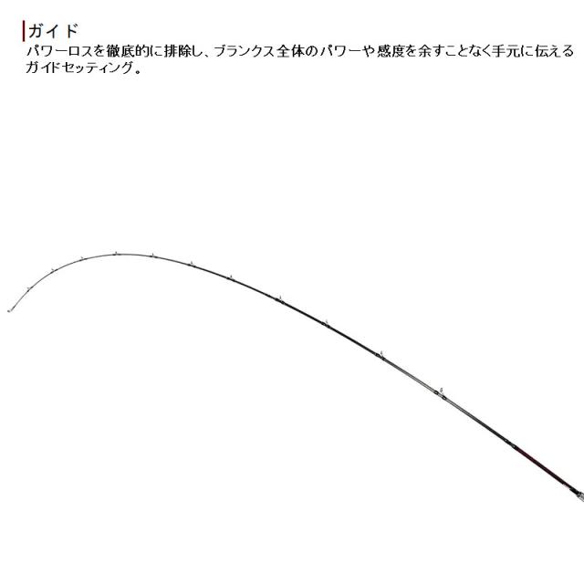 フィッシュマン ビームス リプラウト 9.0M+