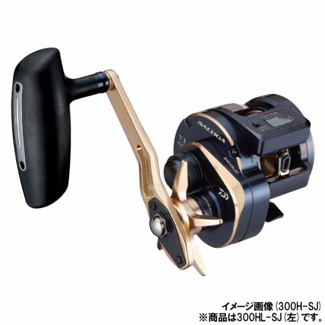 21 ソルティガ IC 100L 励まさ ダイワ 21 ソルティガ IC 100L 左 21 ソルティガ IC 100L 励まさ ダイワ 21 ソルティガ IC 100L 左