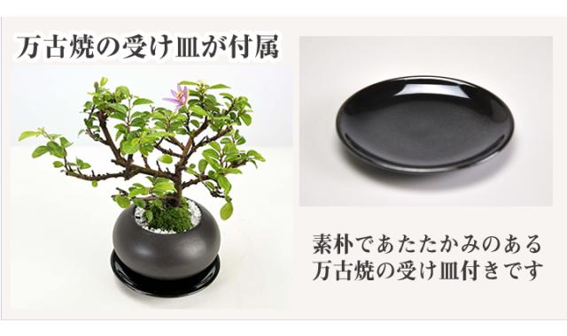 83548☆レア 張替済 6点セット ダイニングテーブル チェア