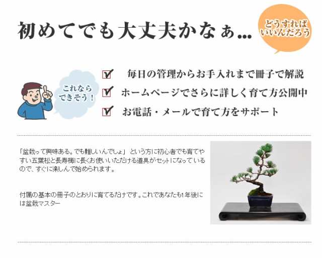 はじめての盆栽セット 長寿梅か五葉松か桜と4点道具セット ミニ盆栽 道具セット ギフト お祝い 退職 ラッピング 誕生日 の通販はau Pay マーケット 盆栽妙