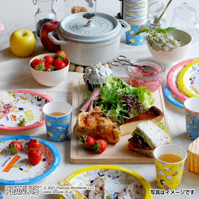 紙皿 おしゃれ P2006RP スヌーピー　レトロパターン　ストロングプレート 20cm 1440枚（6×10×24）／ケース　サンナップ_2