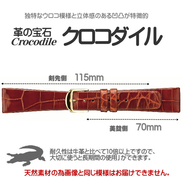 時計ベルト 時計バンド クロコダイル 時計際幅 16mm 17mm 18mm 19mm 20mm ヘリ返し加工 ステンレス美錠 裏材クリーンレザー 交換工具付き ネコポス便対応品_1
