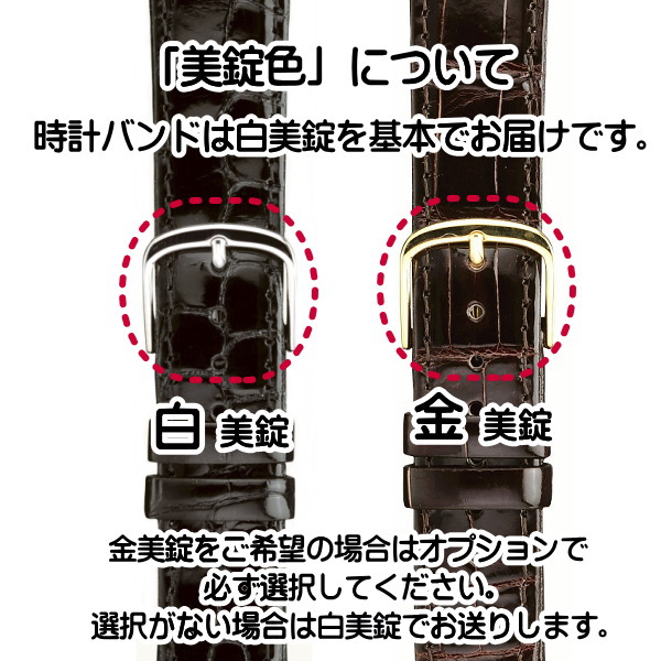 時計バンド 時計ベルト 時計際幅 18mm 美錠幅 14mm クロコダイル 黒 マルマン 紳士皮革バンド バネ棒2本付き 交換工具付き ネコポス便対応品 時計ベルト 時計バンド 革バンドメンズ 交換用 調整