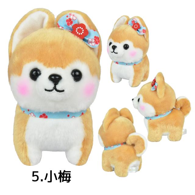 柴太郎 生後51日目の柴犬子犬に成犬2歳チビーズ4匹がド緊張で空回りw