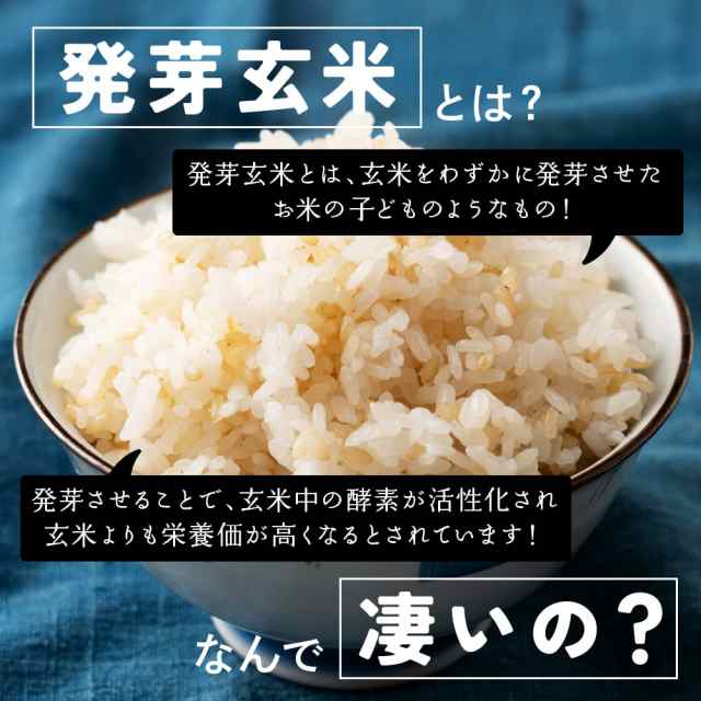 ダイエット食品　4.5kg(450g×10袋)　PAY　発芽玄米　雑穀　【　】　au　セール　マーケット－通販サイト　／　送料無料　置き換えダイエットの通販はau　雑穀米　国産　PAY　マーケット　絶品かとちゃん本舗