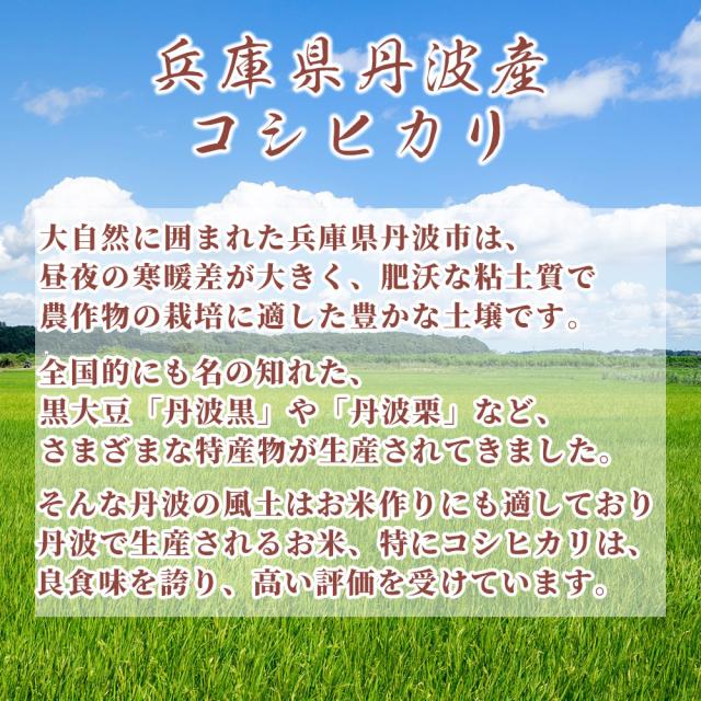 令和7年産 丹波産 コシヒカリ 30kg(5kg×6袋) 送料無料 選べる 白米 無洗米 精白米 単一原料米 精米工場からの直送品_2