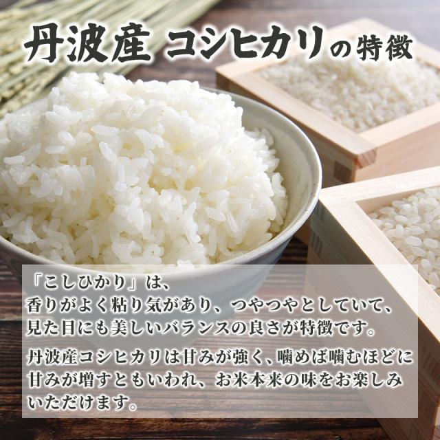 令和7年産 丹波産 コシヒカリ 20kg(5kg×4袋) 送料無料 選べる 白米 無