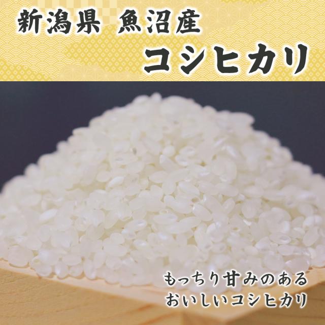 【白米】 令和7年産 魚沼産 コシヒカリ 5kg 精白米 国産 国産コシヒカリ100％ 送料無料 精米工場からの直送品_1