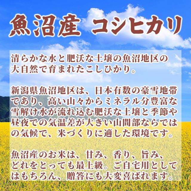 【白米】 令和7年産 魚沼産 コシヒカリ 5kg 精白米 国産 国産コシヒカリ100％ 送料無料 精米工場からの直送品_3