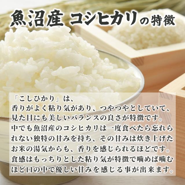 【白米】 令和7年産 魚沼産 コシヒカリ 5kg 精白米 国産 国産コシヒカリ100％ 送料無料 精米工場からの直送品_4