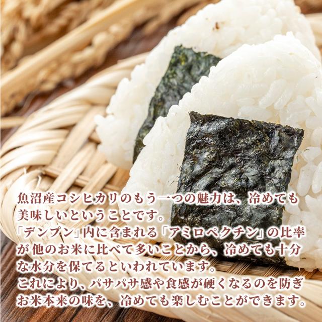 【白米】 令和7年産 魚沼産 コシヒカリ 5kg 精白米 国産 国産コシヒカリ100％ 送料無料 精米工場からの直送品_5