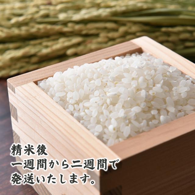 【白米】 令和7年産 魚沼産 コシヒカリ 5kg 精白米 国産 国産コシヒカリ100％ 送料無料 精米工場からの直送品_6