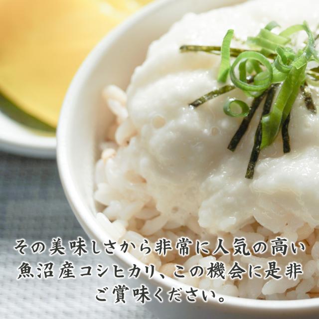 【白米】 令和7年産 魚沼産 コシヒカリ 5kg 精白米 国産 国産コシヒカリ100％ 送料無料 精米工場からの直送品_7