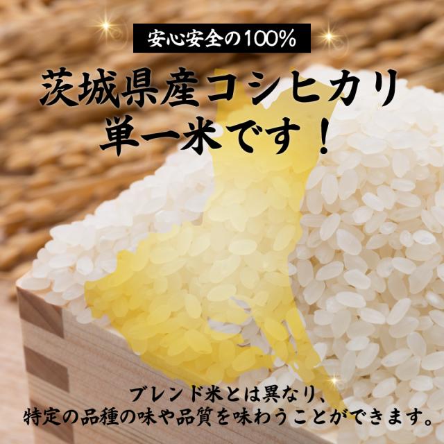 仁多米 コシヒカリ 30kg　令和6年産 令和6年度産 仁多米コシヒカリ・玄米【30kg※】