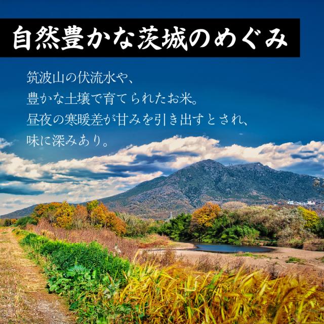 【白米】 令和7年産 茨城県産 コシヒカリ 10kg(5kg×2袋) 国産 こしひかり 単一原料米 白米 精米 精白米 送料無料 精米工場からの直送品_2