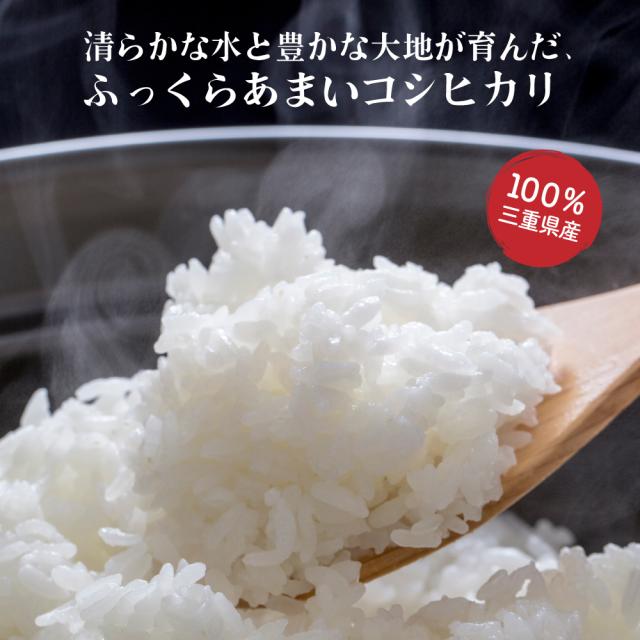＼ セール ／ 【白米】 令和7年産 三重県産 コシヒカリ 20kg(5kg×4袋) 国産 こしひかり 単一原料米 白米 精米 精白米 送料無料 精米工場からの直送品_1