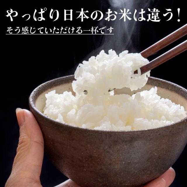 ＼ セール ／ 【白米】 令和7年産 三重県産 コシヒカリ 20kg(5kg×4袋) 国産 こしひかり 単一原料米 白米 精米 精白米 送料無料 精米工場からの直送品_3