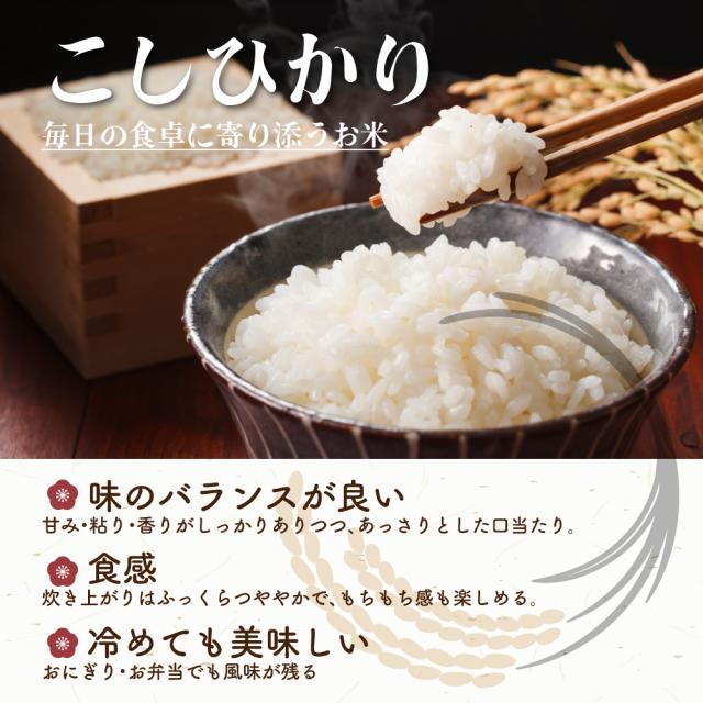 ＼ セール ／ 【白米】 令和7年産 三重県産 コシヒカリ 20kg(5kg×4袋) 国産 こしひかり 単一原料米 白米 精米 精白米 送料無料 精米工場からの直送品_5