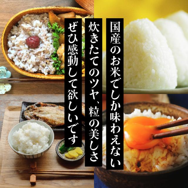 ＼ セール ／ 【白米】 令和7年産 三重県産 コシヒカリ 20kg(5kg×4袋) 国産 こしひかり 単一原料米 白米 精米 精白米 送料無料 精米工場からの直送品_7