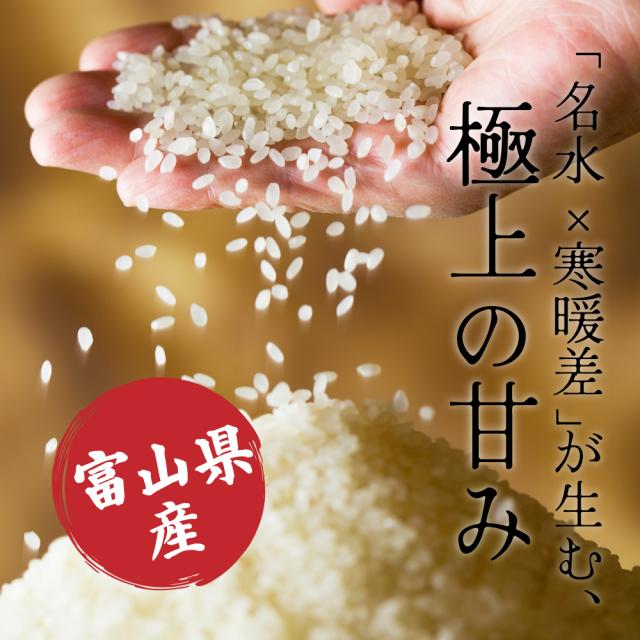 ＼ セール ／ 【白米】 令和7年産 富山県産 コシヒカリ 20kg(5kg×4袋) こしひかり 単一原料米 白米 精米 精白米 送料無料 精米工場からの直送品_1