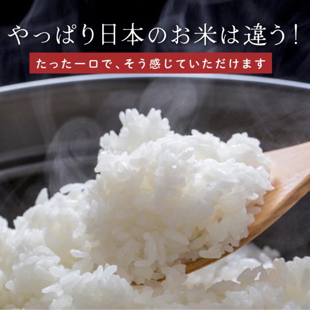 ＼ セール ／ 【白米】 令和7年産 富山県産 コシヒカリ 20kg(5kg×4袋) こしひかり 単一原料米 白米 精米 精白米 送料無料 精米工場からの直送品_3