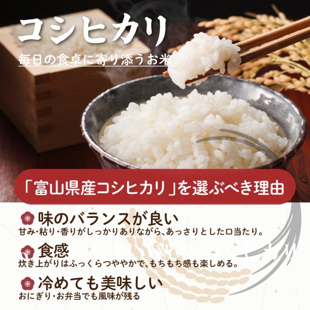 ＼ セール ／ 【白米】 令和7年産 富山県産 コシヒカリ 20kg(5kg×4袋) こしひかり 単一原料米 白米 精米 精白米 送料無料 精米工場からの直送品_4