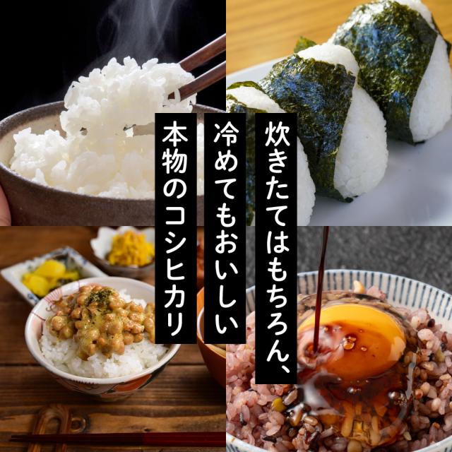 ＼ セール ／ 【白米】 令和7年産 富山県産 コシヒカリ 20kg(5kg×4袋) こしひかり 単一原料米 白米 精米 精白米 送料無料 精米工場からの直送品_6
