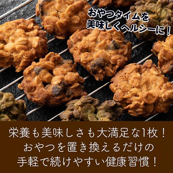 オートミールクッキー(チョコチップ) 【1kg(100g×10袋)】※割れ欠けあり