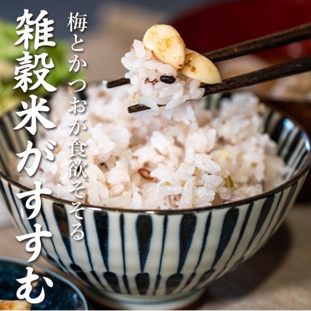 激旨 梅にんにく 3kg(100g×30袋) 全く臭わない 元気の源無臭ニンニク ニオイなし スタミナ スタミナ食 【送料無料】_6