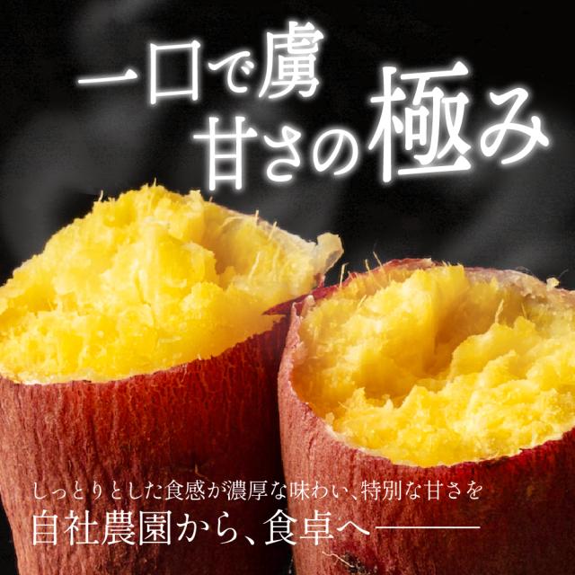 静岡県産 さつまいも 紅はるか 10kg 送料無料 スイーツ 生芋 生 サツマイモ べにはるか 甘い 美味しい 産地直送 ギフト プレゼント_1