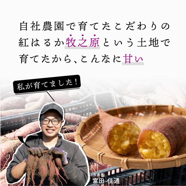 静岡県産 さつまいも 紅はるか 10kg 送料無料 スイーツ 生芋 生 サツマイモ べにはるか 甘い 美味しい 産地直送 ギフト プレゼント_3