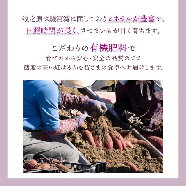 静岡県産 さつまいも 紅はるか 10kg 送料無料 スイーツ 生芋 生 サツマイモ べにはるか 甘い 美味しい 産地直送 ギフト プレゼント_4