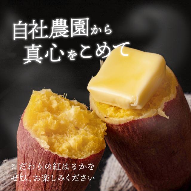 静岡県産 さつまいも 紅はるか 10kg 送料無料 スイーツ 生芋 生 サツマイモ べにはるか 甘い 美味しい 産地直送 ギフト プレゼント_11