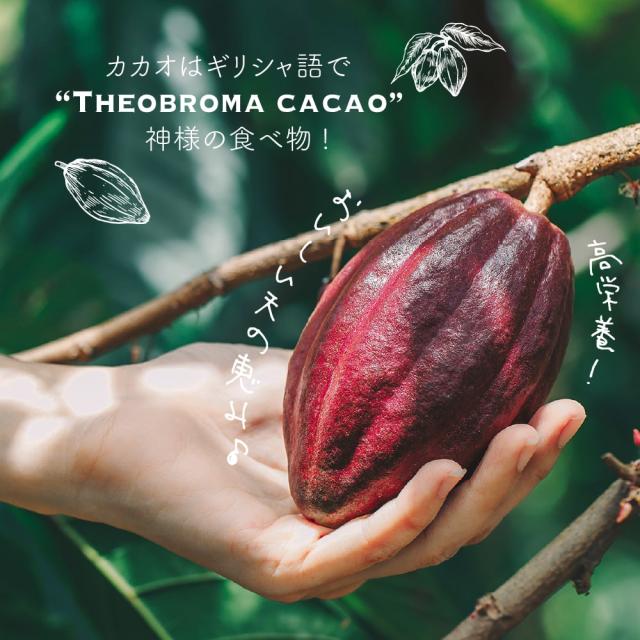 セール ／ ナチュラルココアパウダー 5kg(500g×10袋) 送料無料 ココア