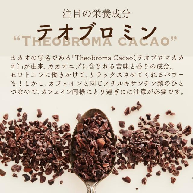 セール ／ ナチュラルココアパウダー 5kg(500g×10袋) 送料無料 ココア