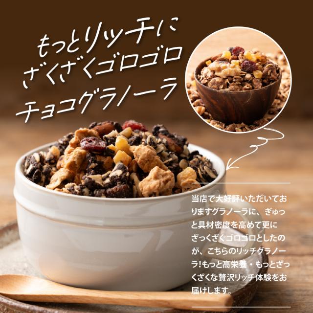 ＼ セール ／ 砂糖不使用 贅沢リッチグラノーラ 3kg(300g×10袋) 朝食 ダイエット 間食 保存料着色料0 グルテンフリー チョコグラノーラ カカオ ココア 米粉 はちみつ ナッツ ベリー オレンジピール_1