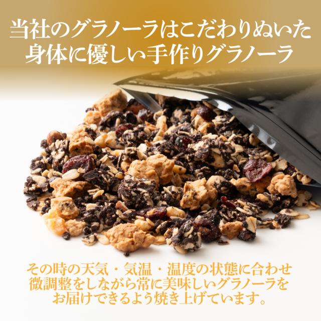 ＼ セール ／ 砂糖不使用 贅沢リッチグラノーラ 3kg(300g×10袋) 朝食 ダイエット 間食 保存料着色料0 グルテンフリー チョコグラノーラ カカオ ココア 米粉 はちみつ ナッツ ベリー オレンジピール_2