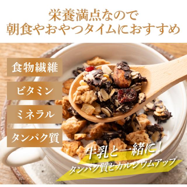 ＼ セール ／ 砂糖不使用 贅沢リッチグラノーラ 3kg(300g×10袋) 朝食 ダイエット 間食 保存料着色料0 グルテンフリー チョコグラノーラ カカオ ココア 米粉 はちみつ ナッツ ベリー オレンジピール_6