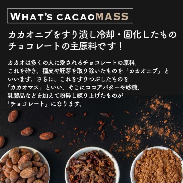 カカオマス 10kg(500g×20袋) 送料無料 製菓 製パン 材料 業務用 カカオ100