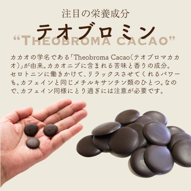 カカオマス 10kg(500g×20袋) 送料無料 製菓 製パン 材料 業務用 カカオ100