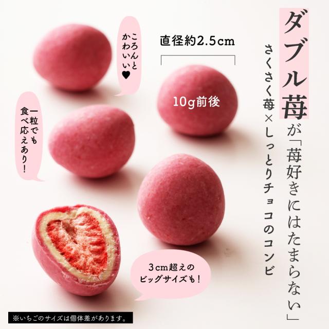 贅沢まるごと苺 1.5kg(300g×5袋) 送料無料 チョコレート スイーツ いちごまるごと ホワイトチョコ いちごトリュフ イチゴ ストロベリーチョコ フリーズドライ