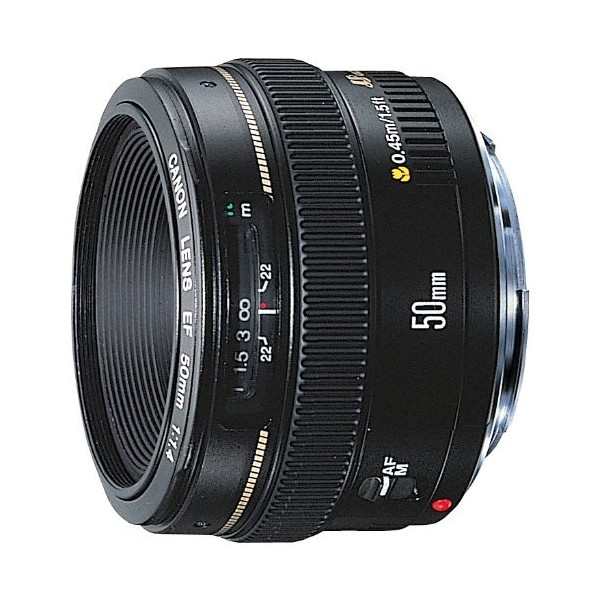 中古 保証付 送料無料 Canon 単焦点レンズ Ef50mm F1 4 Usm カメラレンズ キヤノン 単焦点レンズ 一眼レフカメラ 初心者 送料無料の通販はau Pay マーケット 鉢花工房トマト Au Pay マーケット店